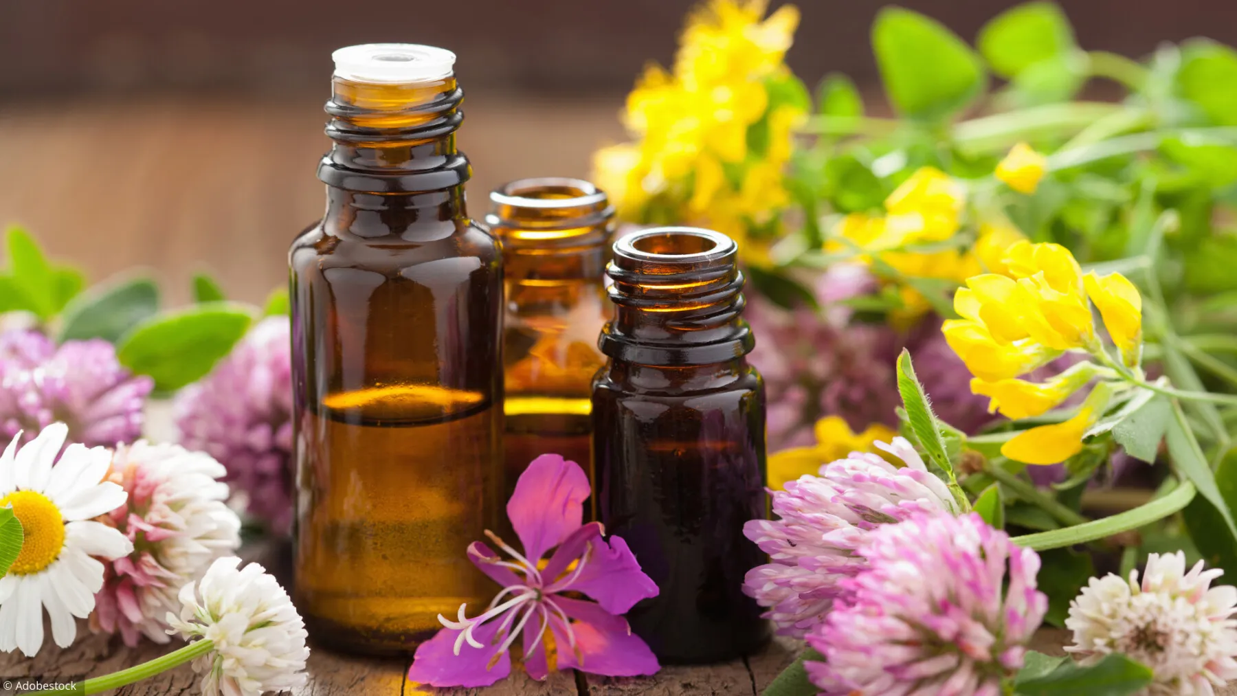 Fleurs-de-Bach-Florence-Drean-Naturopathe-Saint-Genis-Laval